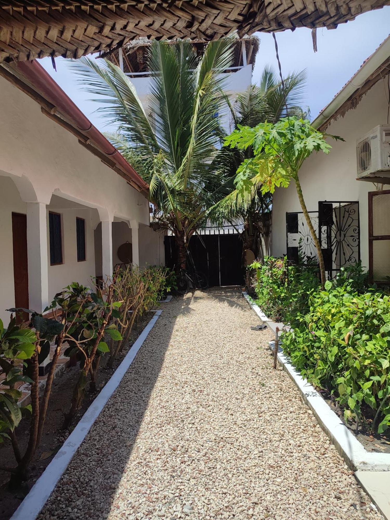 Fish House Nungwi Bed and Breakfast Εξωτερικό φωτογραφία