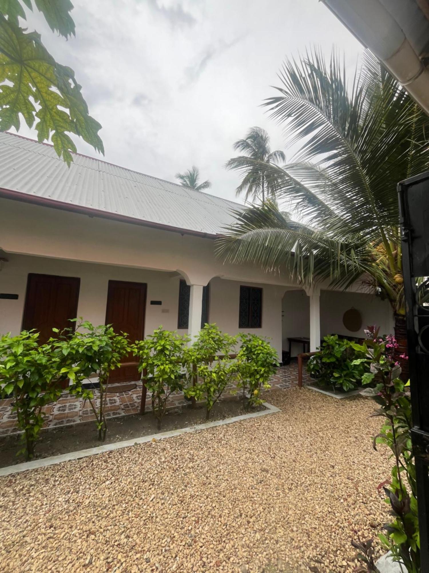 Fish House Nungwi Bed and Breakfast Εξωτερικό φωτογραφία